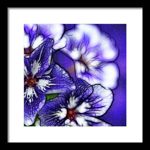 Purple and White Flowers - Framed Print