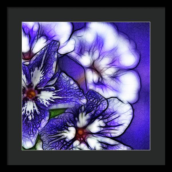 Purple and White Flowers - Framed Print