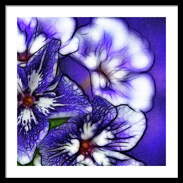 Purple and White Flowers - Framed Print