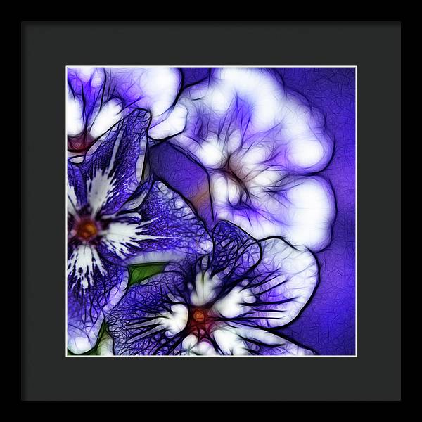 Purple and White Flowers - Framed Print