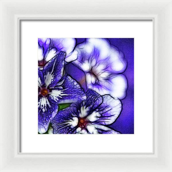 Purple and White Flowers - Framed Print