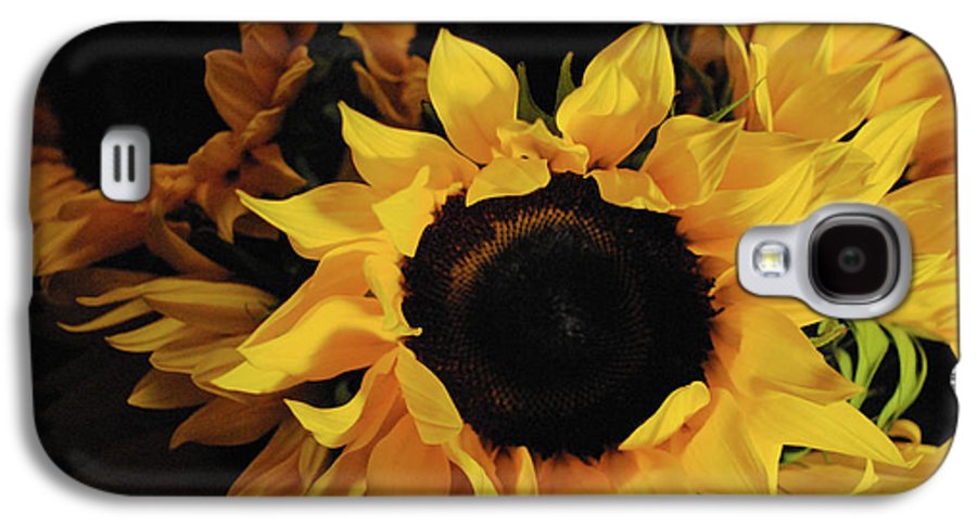 Sunflowers - Phone Case