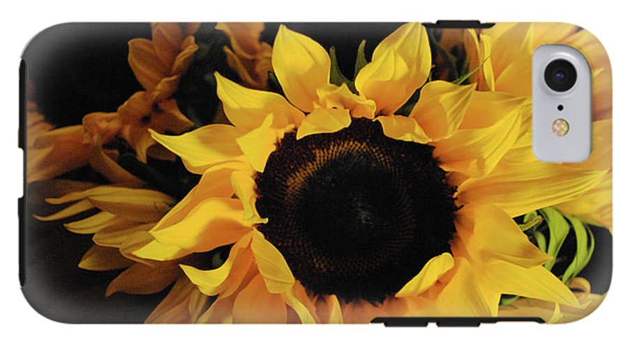 Sunflowers - Phone Case