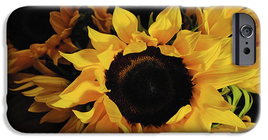 Sunflowers - Phone Case