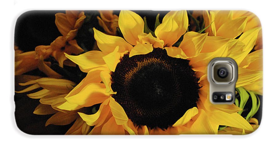 Sunflowers - Phone Case