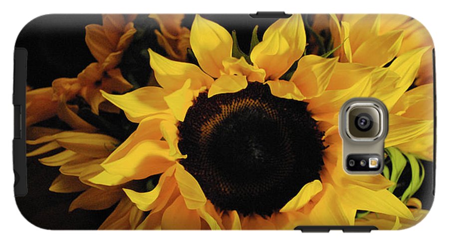 Sunflowers - Phone Case