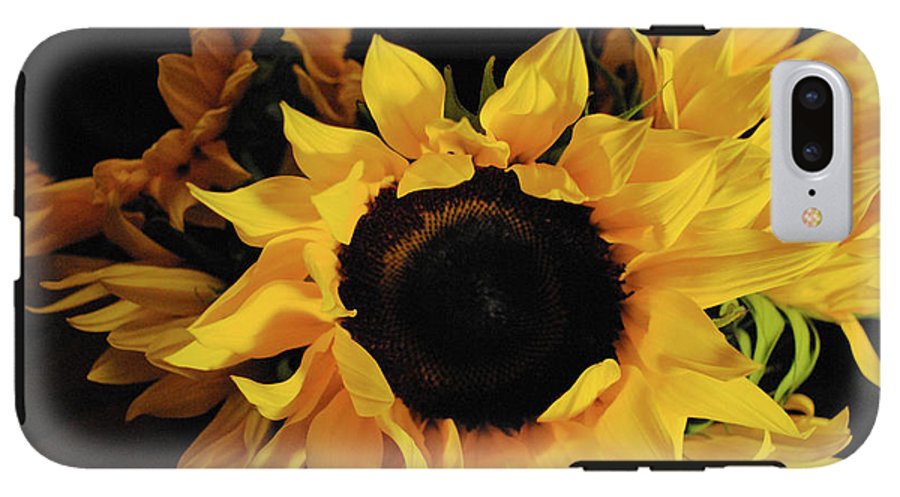 Sunflowers - Phone Case