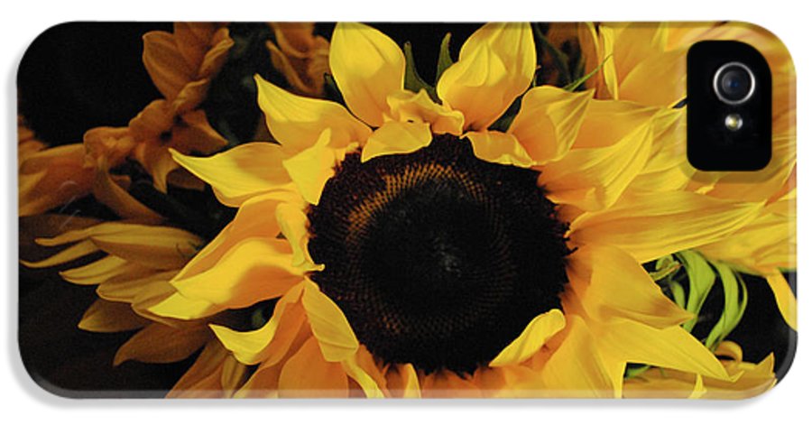 Sunflowers - Phone Case