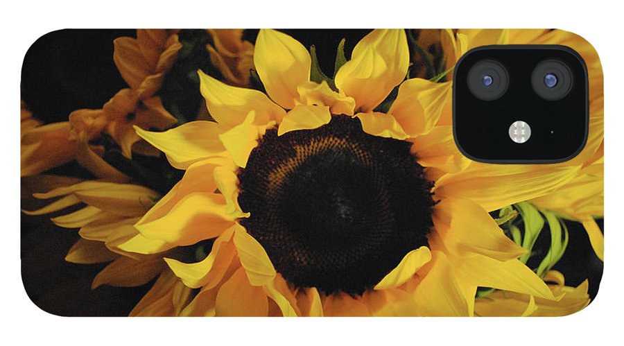 Sunflowers - Phone Case
