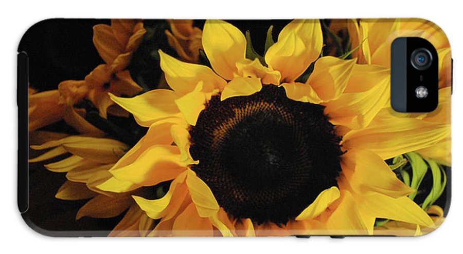 Sunflowers - Phone Case