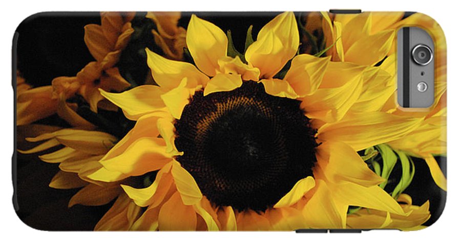 Sunflowers - Phone Case