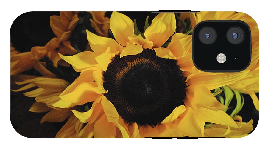 Sunflowers - Phone Case