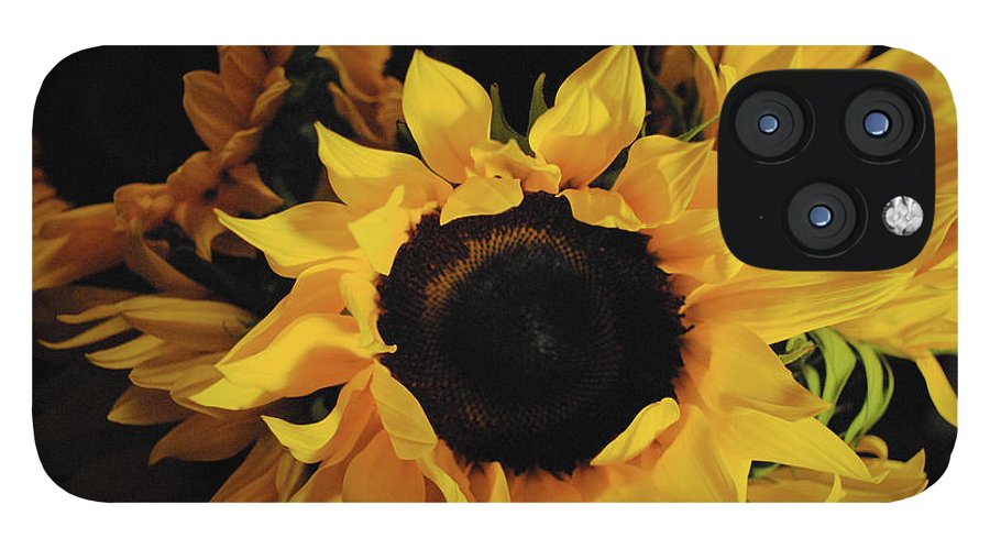 Sunflowers - Phone Case