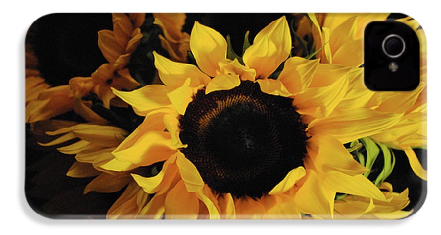 Sunflowers - Phone Case
