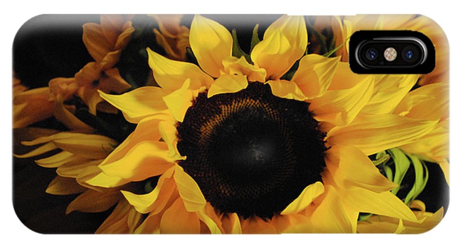Sunflowers - Phone Case