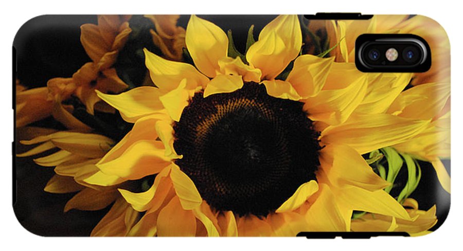 Sunflowers - Phone Case