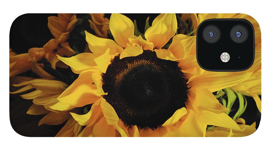 Sunflowers - Phone Case