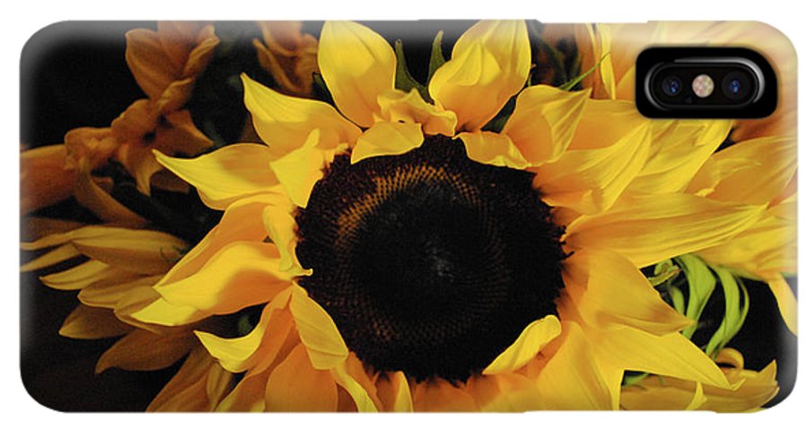 Sunflowers - Phone Case