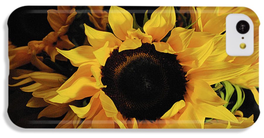 Sunflowers - Phone Case
