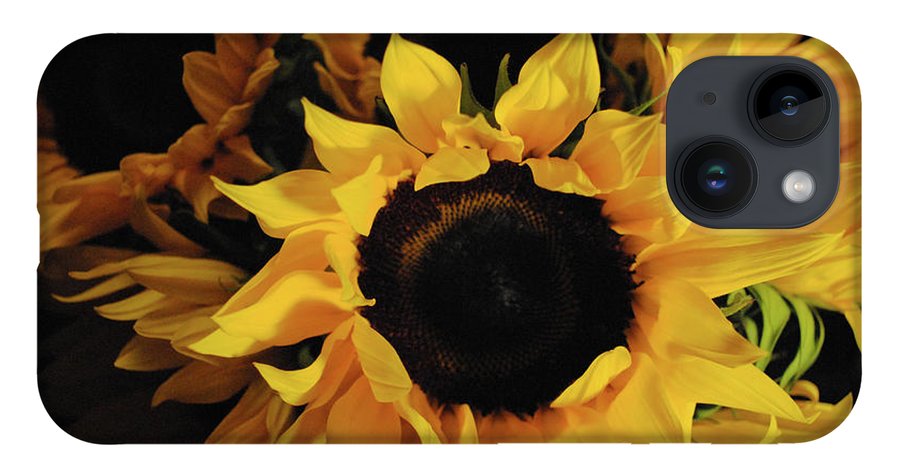 Sunflowers - Phone Case