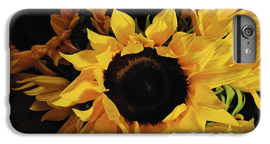 Sunflowers - Phone Case
