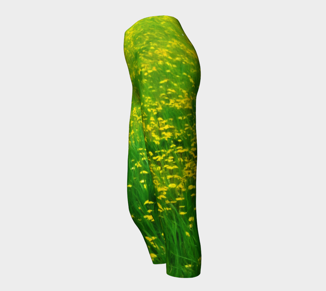 Field of Dandelions Capris