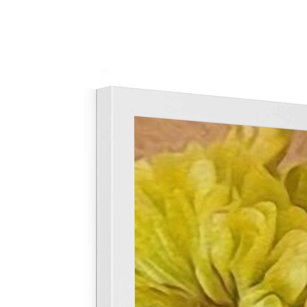 Yellow Zinnias Framed Print
