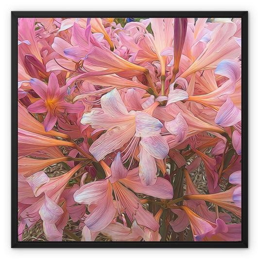 Pink Amaryllis Framed Canvas