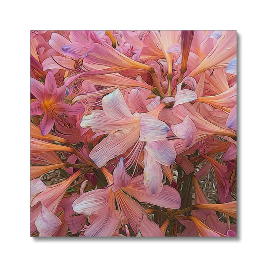 Pink Amaryllis Canvas
