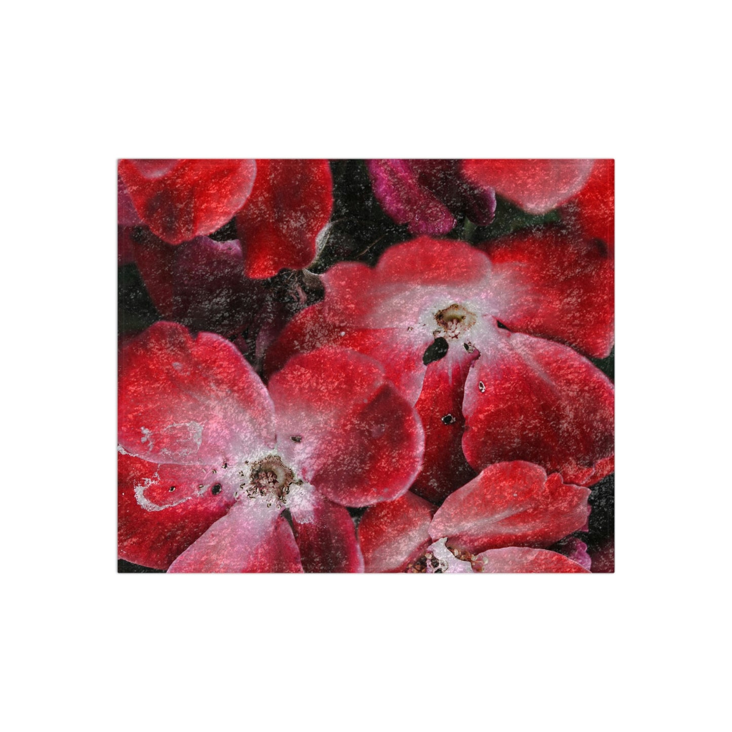 Bright Red Flowers Crushed Velvet Blanket