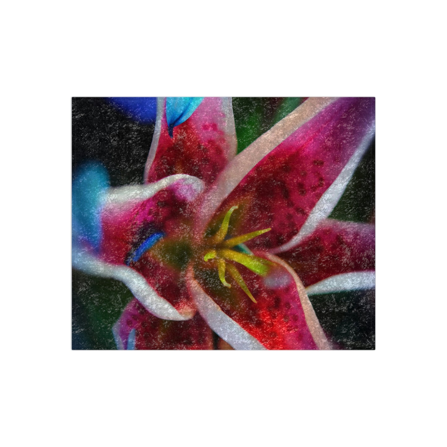 Blue Petals On a Pink and White Lily Crushed Velvet Blanket