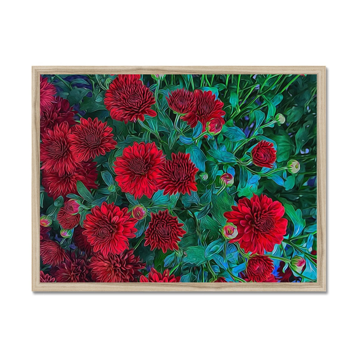 Red Mums Framed Print