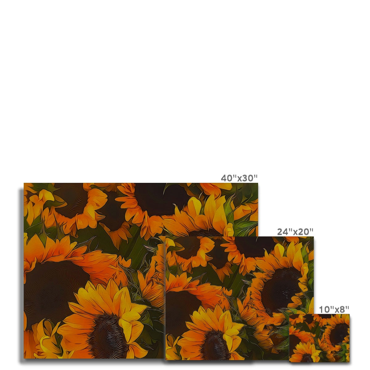 Sunflowers Canvas