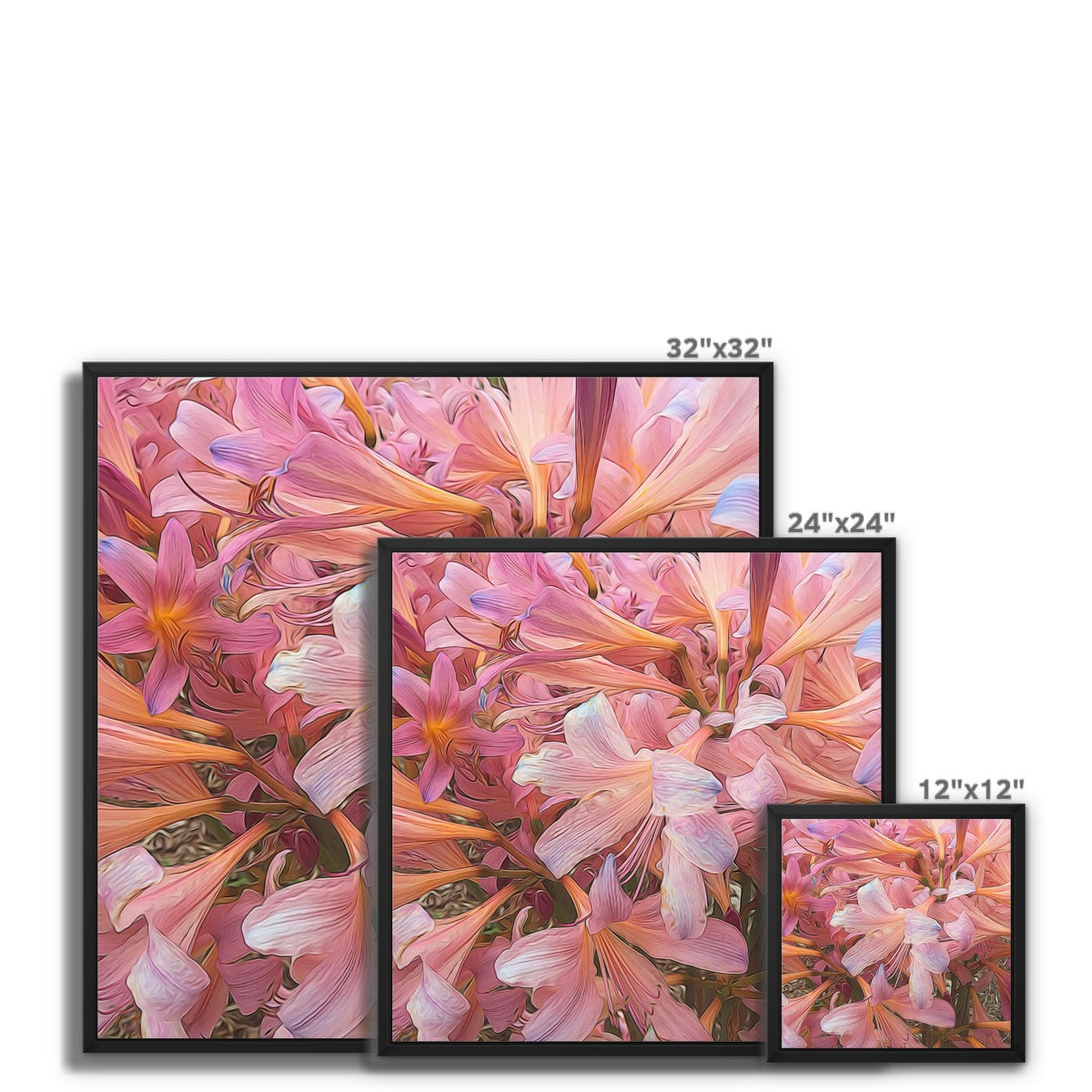 Pink Amaryllis Framed Canvas