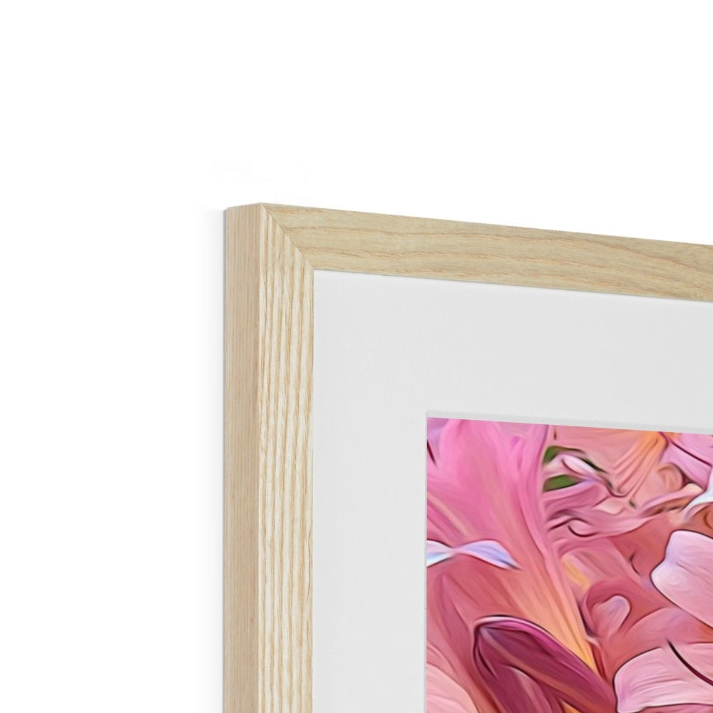 Pink Amaryllis Framed & Mounted Print