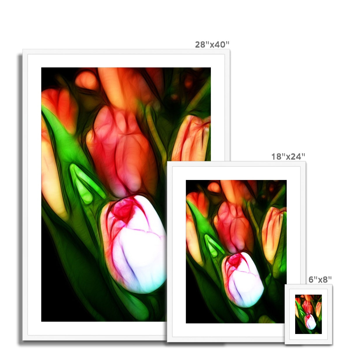 Pink Tulips Framed & Mounted Print