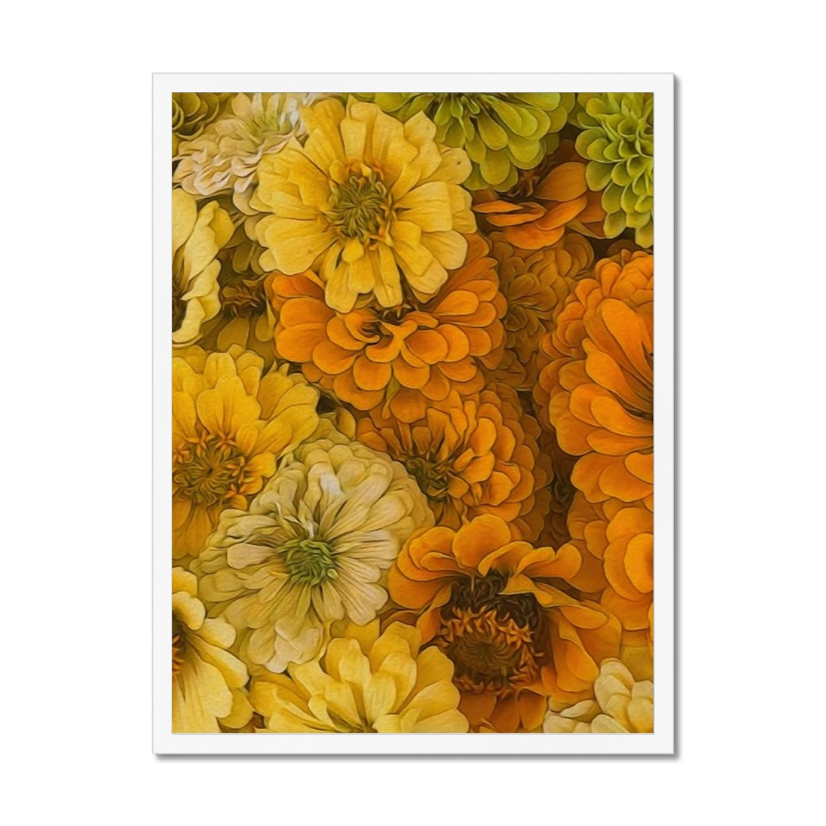 Yellow Zinnias Framed Print