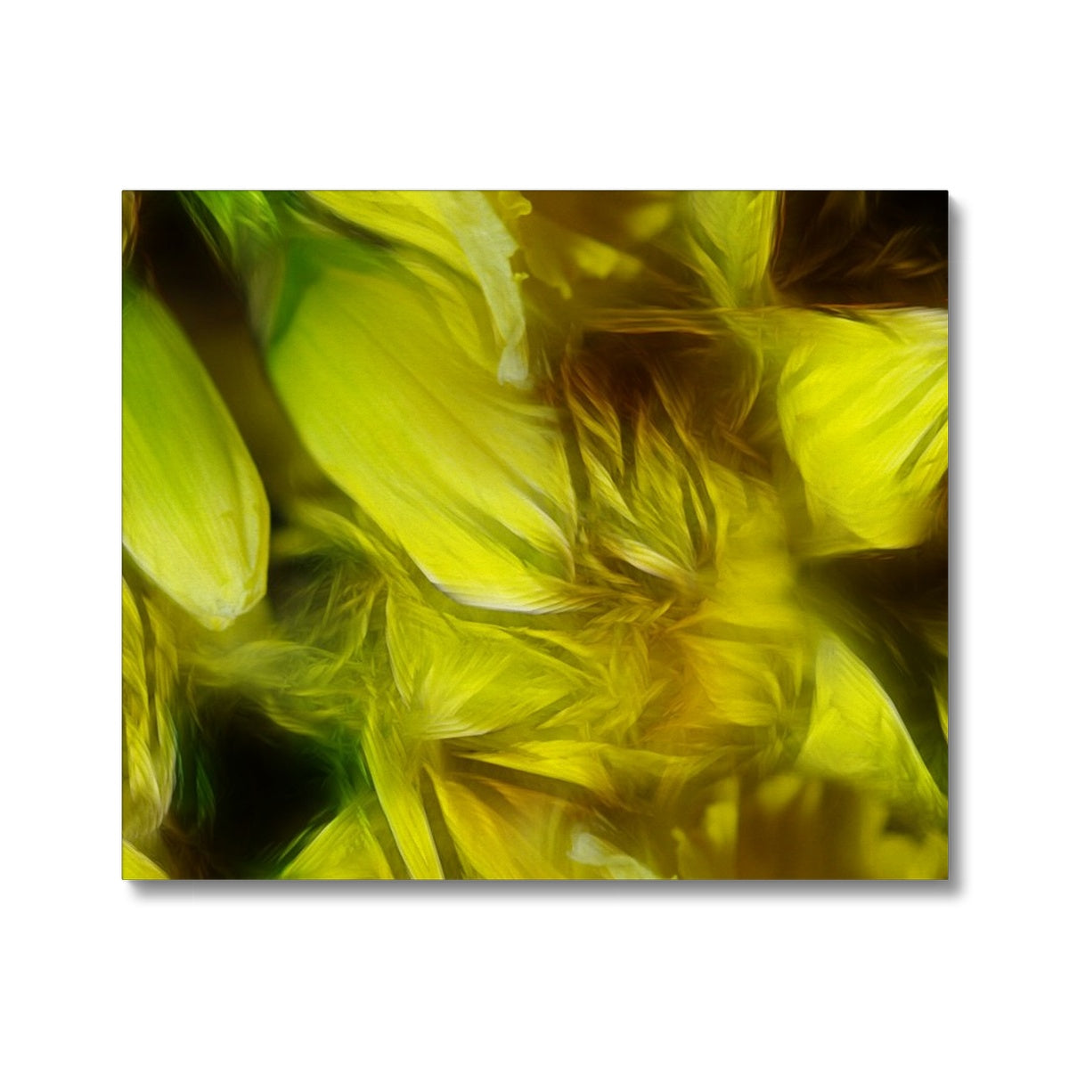 Abstract Yellow Daffodils Canvas