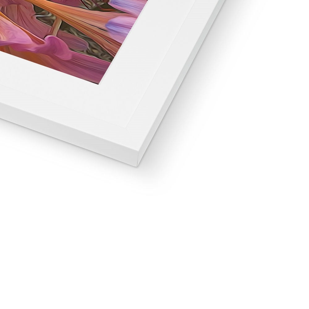 Pink Amaryllis Framed & Mounted Print