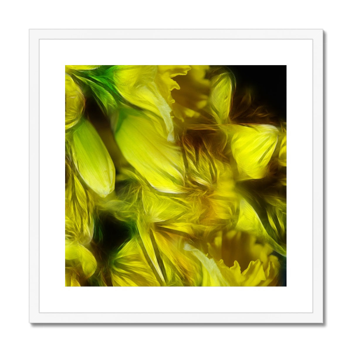 Abstract Yellow Daffodils Framed & Mounted Print