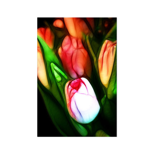 Pink Tulips Hahnemühle Photo Rag Print