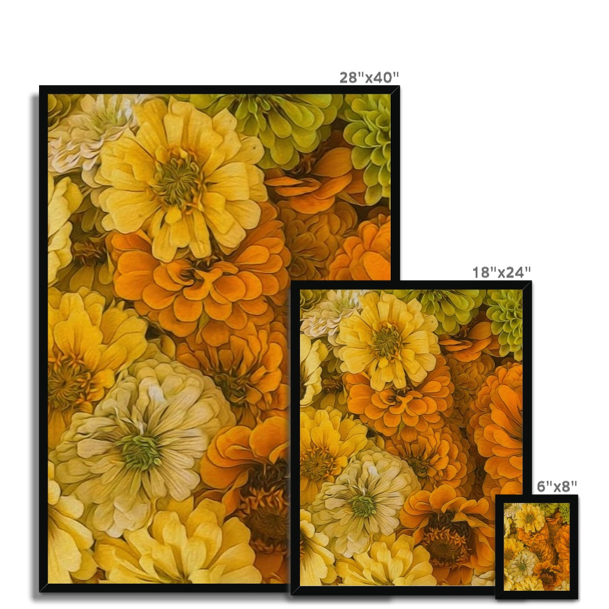 Yellow Zinnias Framed Print