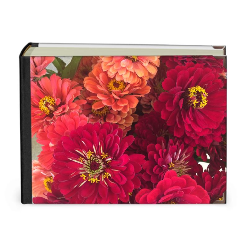Peach and Pink Zinnias Photo Album
