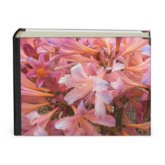 Pink Amaryllis Photo Album
