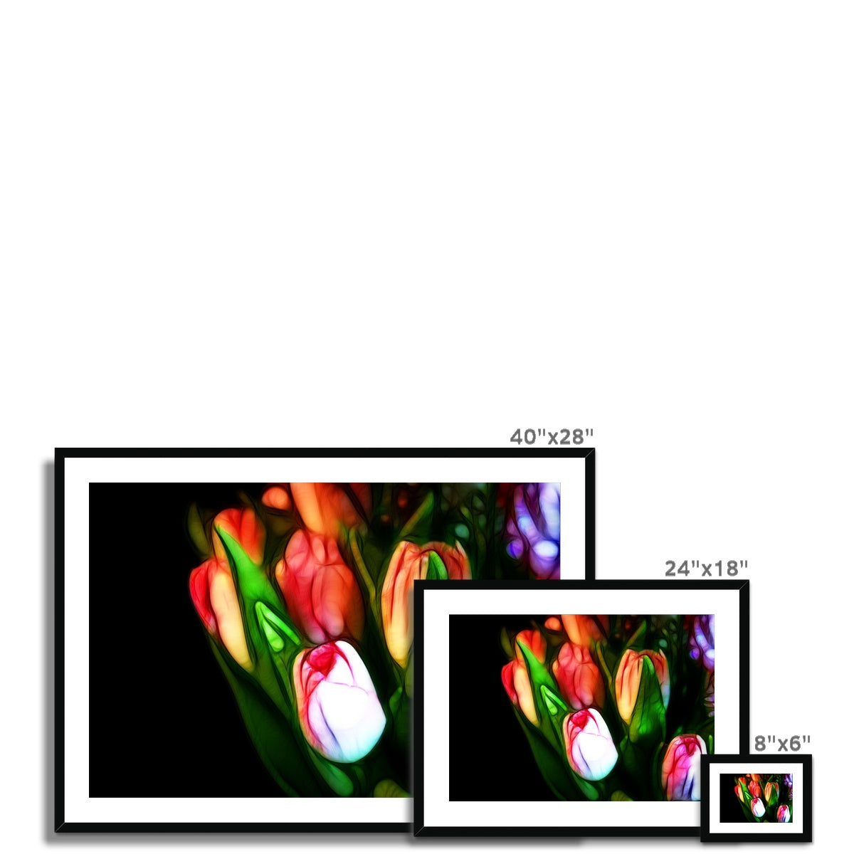 Pink Tulips Framed & Mounted Print
