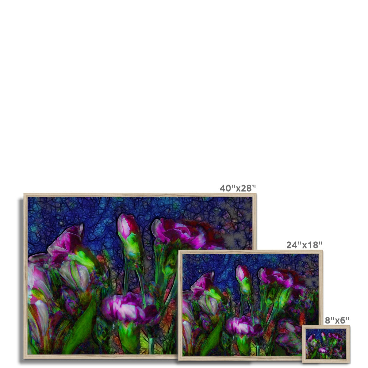 Abstract Pink Carnations Framed Print
