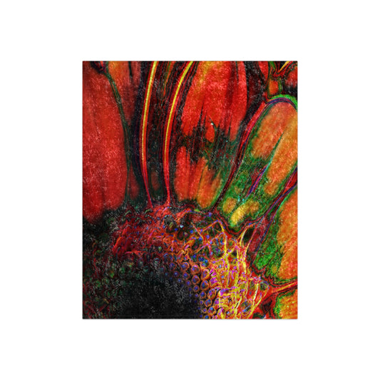 Orange Daisy Crushed Velvet Blanket