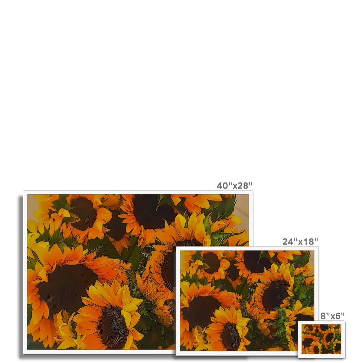 Sunflowers Framed Print
