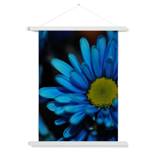 Blue Daisy Fine Art Print with Hanger