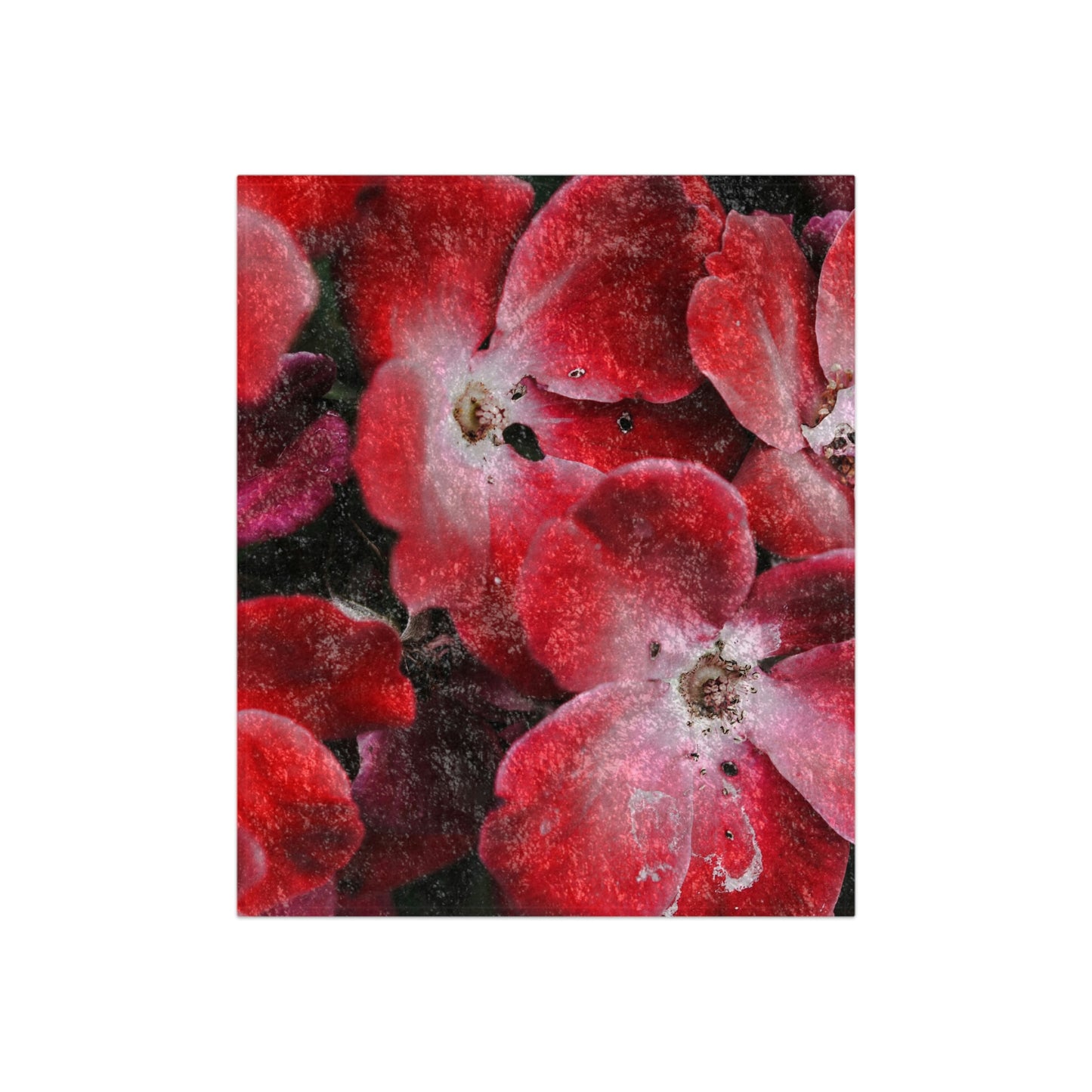 Bright Red Flowers Crushed Velvet Blanket
